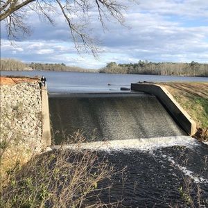 Meet your Posher, Cody